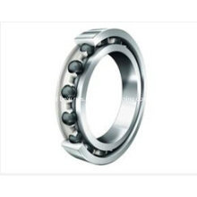 Auto Bearing, High Quality Bearing Deep Groove Ball Bearing 6009, 6009z, 6009-2z, 6009RS, 6009-2RS